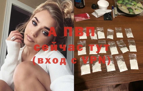 молекула духа Бородино