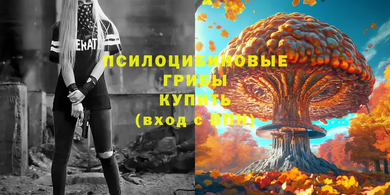 Галлюциногенные грибы Psilocybe  Галич 